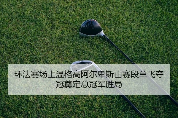 huan-fa-sai-chang-shang-wen-ge-gao-a-er-bei-si-shan-sai-duan-dan-fei-duo-guan-dian-ding-zong-guan-jun-sheng-ju-2-671.jpg